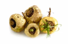 maca peruana